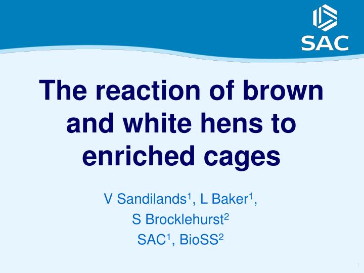 the reaction of brown and white hens to enriched cages