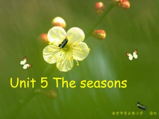 Unit 5 The seasons