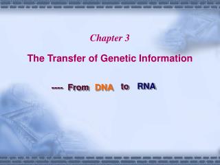 Chapter 3 The Transfer of Genetic Information