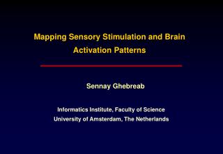 Mapping Sensory Stimulation and Brain Activation Patterns