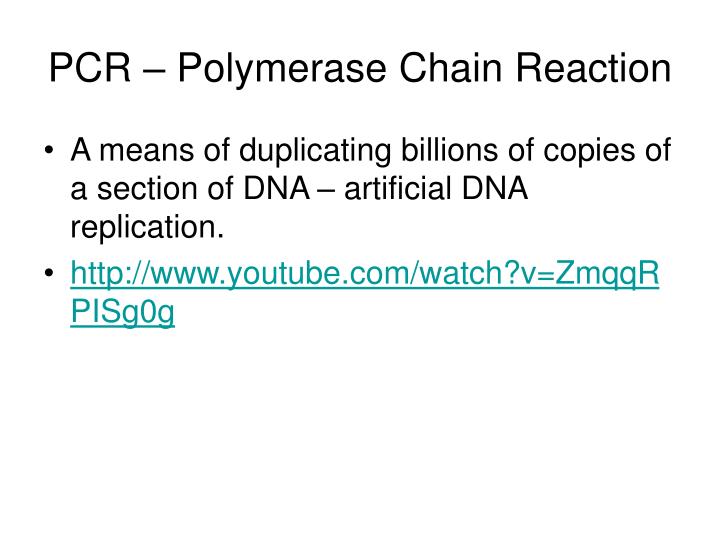 pcr polymerase chain reaction