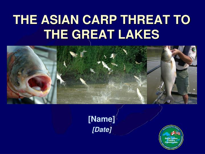 the asian carp threat to the great lakes