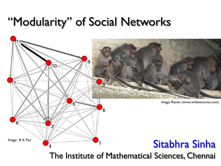 modularity of social networks