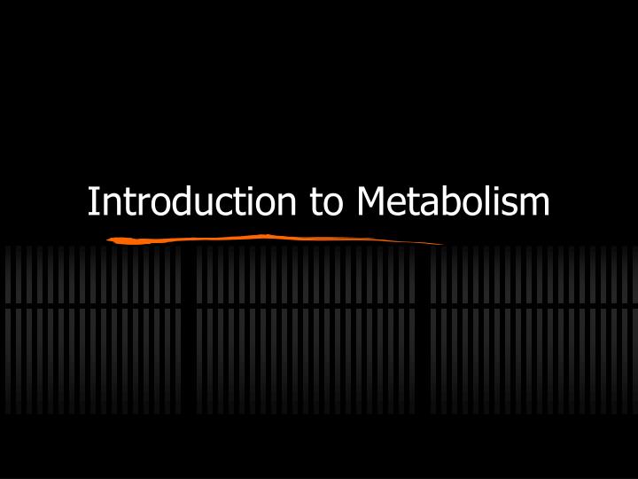 introduction to metabolism