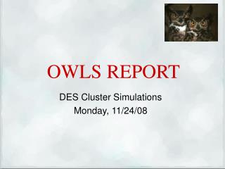 OWLS REPORT