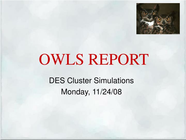 owls report
