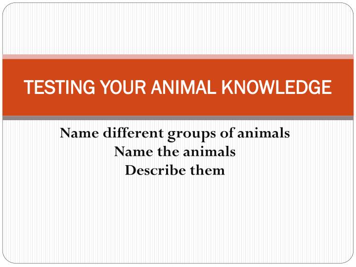 testing your animal knowledge