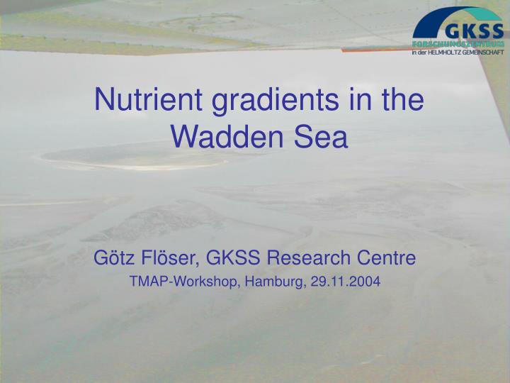 nutrient gradients in the wadden sea