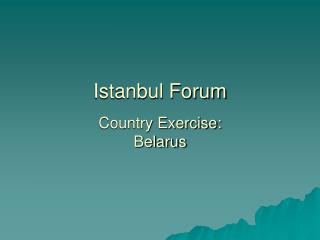 Istanbul Forum Country Exercise: Belarus