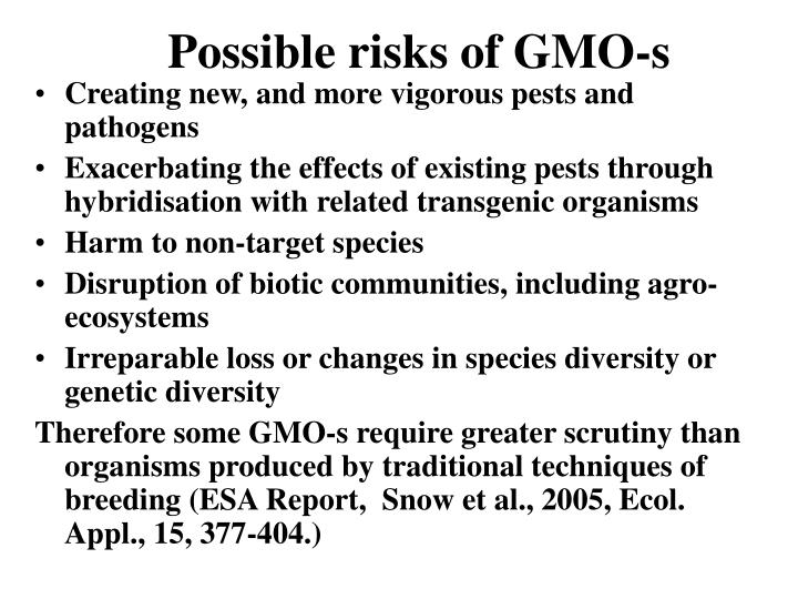 possible risks of gmo s