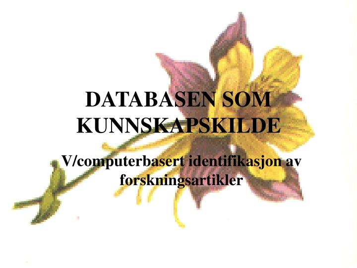 databasen som kunnskapskilde