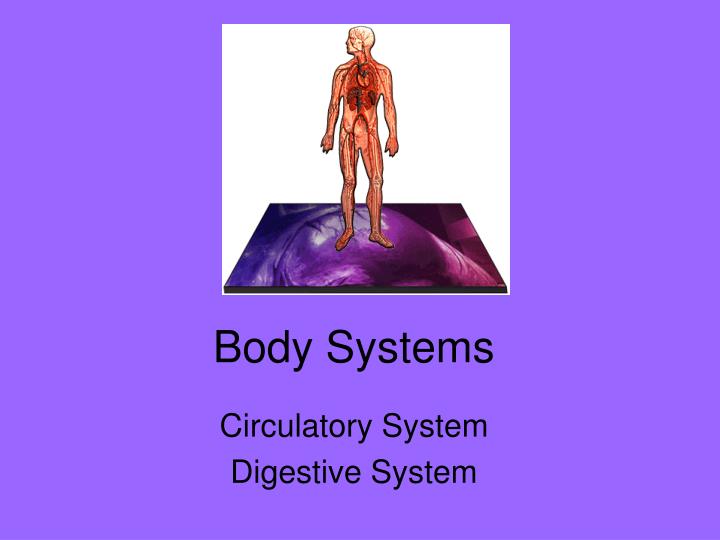 body systems