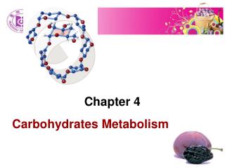 Chapter 4 Carbohydrates Metabolism