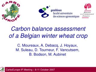 Carbon balance assessment of a Belgian winter wheat crop
