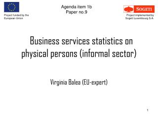 Business services statistics on physical persons (informal sector)