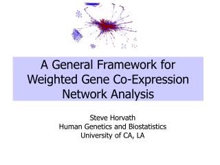 A General Framework for Weighted Gene Co-Expression Network Analysis