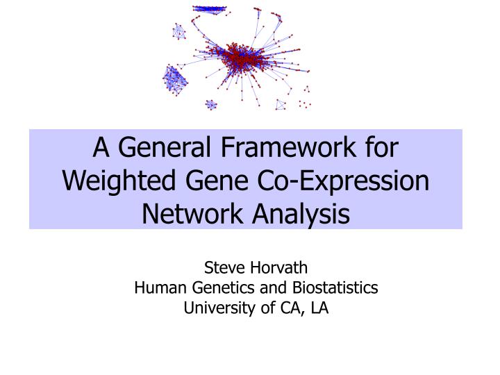 a general framework for weighted gene co expression network analysis