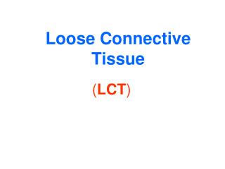 Loose Connective Tissue