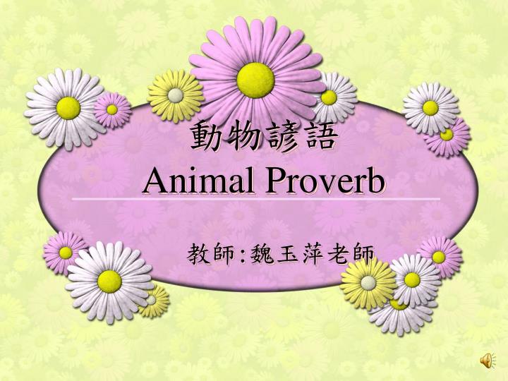 animal proverb