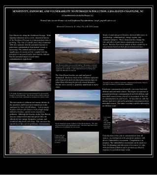 SENSITIVITY, EXPOSURE, AND VULNERABILITY TO PETROLEUM POLLUTION, GJOA HAVEN COASTLINE, NU