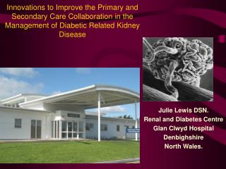 Julie Lewis DSN. Renal and Diabetes Centre Glan Clwyd Hospital Denbighshire North Wales.