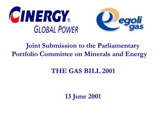 Joint Submission to the Parliamentary Portfolio Committee on Minerals and Energy