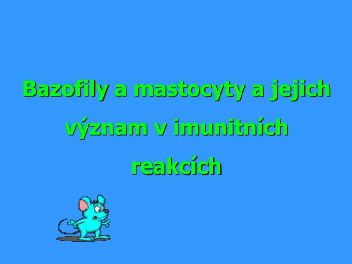 bazofily a mastocyty a jejich v znam v imunitn ch reakc ch