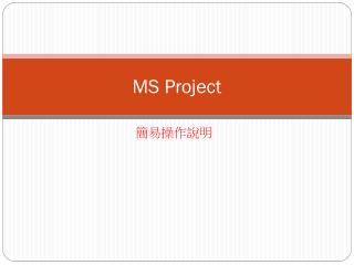 ms project