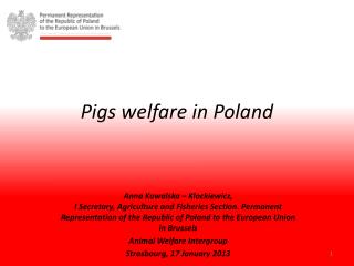 Pigs welfare in Poland