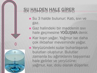 su halden hale g rer