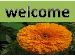 welcome