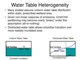 Water Table Heterogeneity