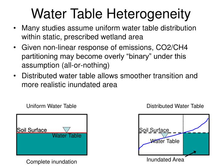 water table heterogeneity