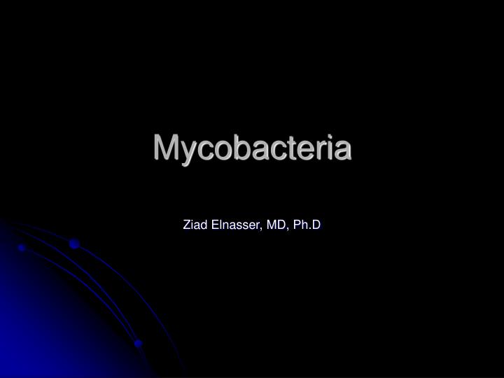 mycobacteria