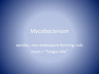 Mycobacterium