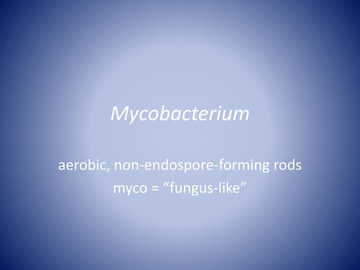 mycobacterium