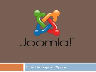 Content Management System