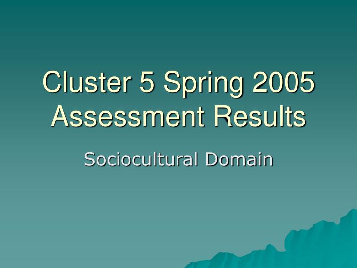 cluster 5 spring 2005 assessment results
