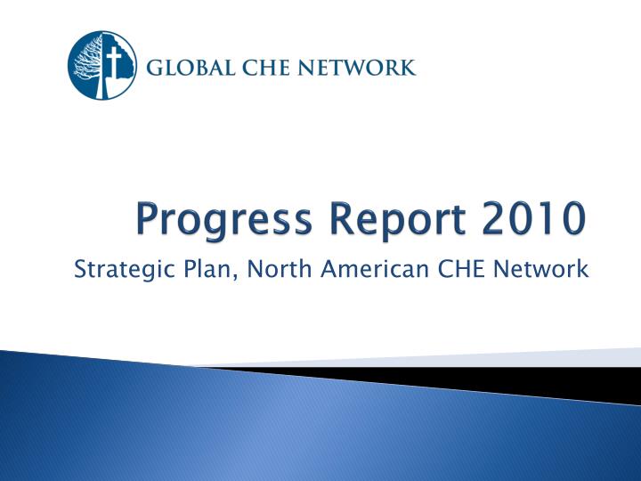 progress report 2010