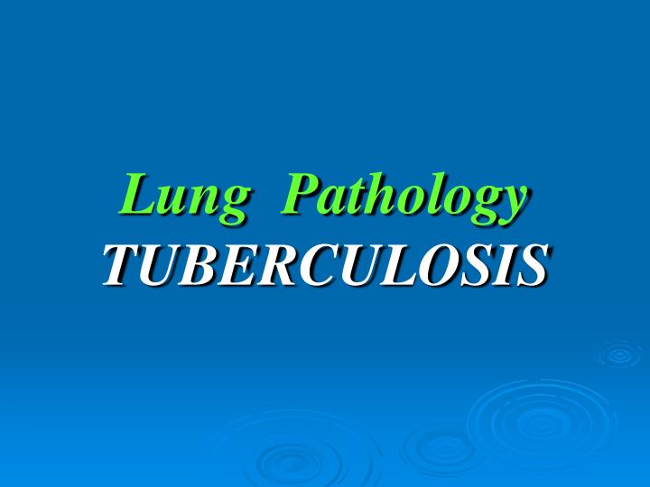 lung pathology tuberculosis
