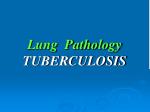 Lung Pathology TUBERCULOSIS - slide 1