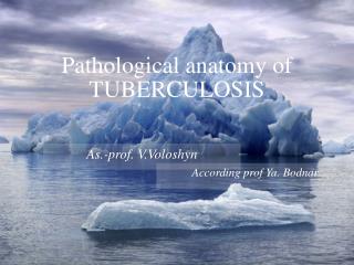 Pathological anatomy of TUBERCULOSIS