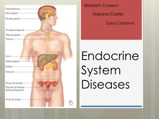 Endocrine System Diseases