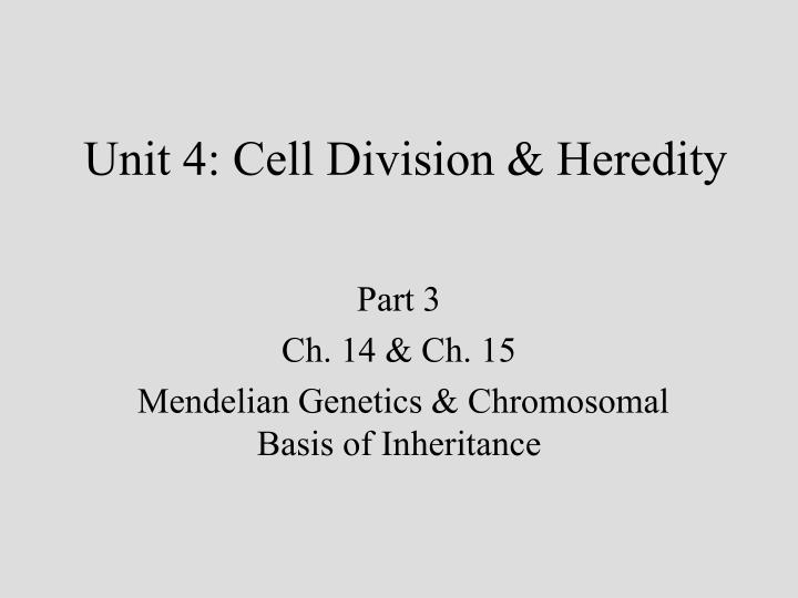 unit 4 cell division heredity