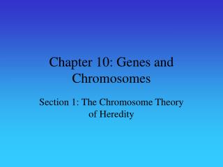 Chapter 10: Genes and Chromosomes