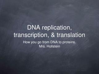 DNA replication, transcription, &amp; translation