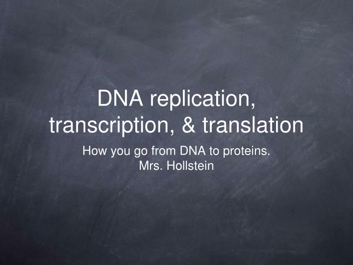 dna replication transcription translation