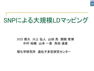 SNP による大規模 LD マッピング