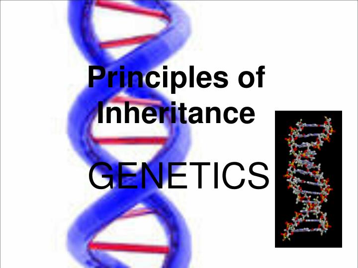 principles of inheritance