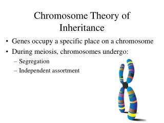 Chromosome Theory of Inheritance
